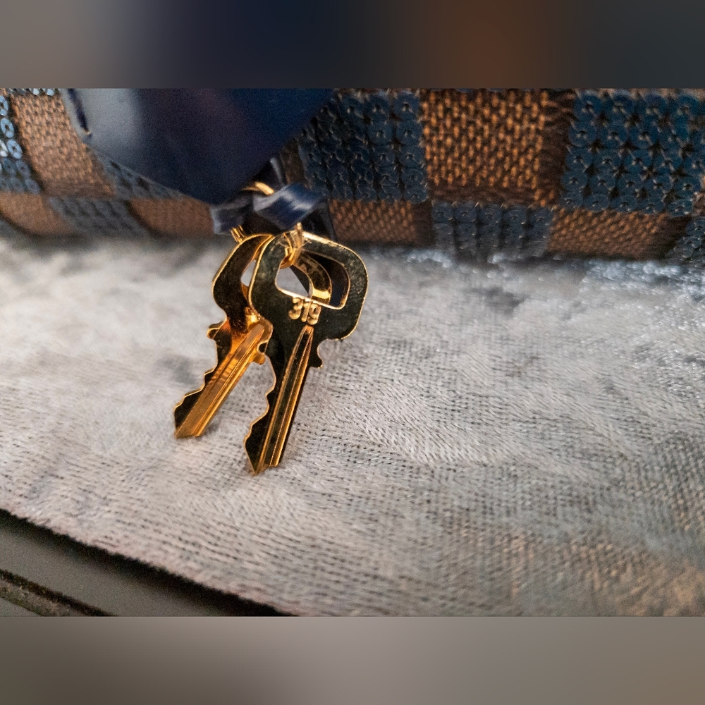 Louis Vuitton Paillettes Damier Ebene Speedy 30 w/Dustbag, Lock and Keys - Picture 9 of 17